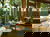 4 Tage im Alphotel Innsbruck mit Frühstück