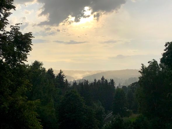"Blau im Grün" Ihre Auszeit zwischen Wald & Soletherme!