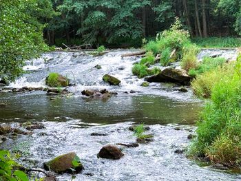 Bild 19 von 45