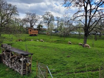 Auf den Spuren des Klosterwanderweges - 4 Tage