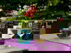 79 Euro-Sommer-Deal - 3 Tage Weltstadt mit Herz