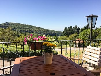 7 Tage Dreiländereck: Schwarzwald, Rhein & Vogesen