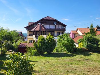 6 Tage Familienzeit mit Ihrem Haustier im Schwarzwald