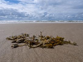 3 Tage Nordseeurlaub Callantsoog – Strand & Erholung