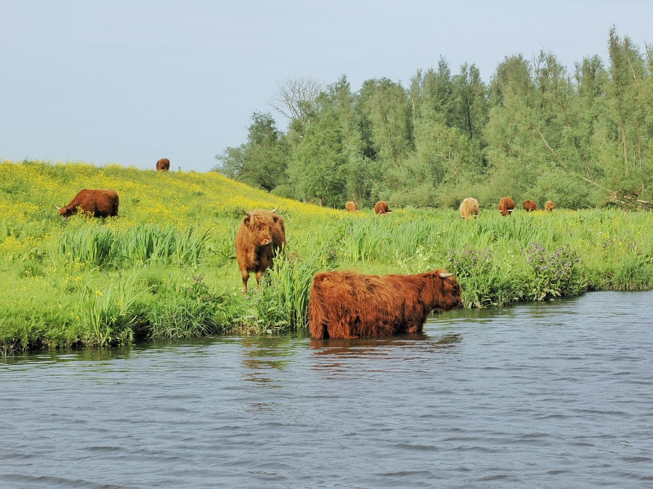 3 Tage im grünen Herzen von West-Brabant