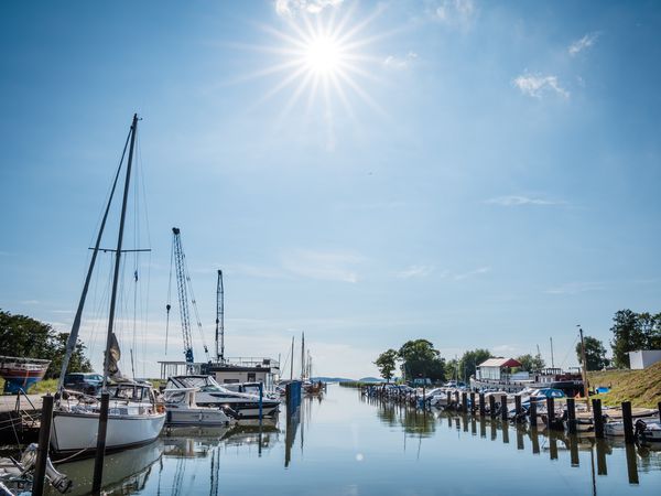 Wohlfühlurlaub und Natur. 5 Tage Rügen genießen in Sagard OT Martinshafen, Mecklenburg-Vorpommern inkl. Frühstück