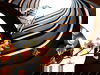 2 Tage Dresden mit Semperoper und Stadtrundgang