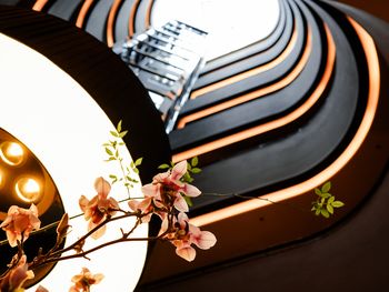 2 Tage Dresden mit Semperoper und Stadtrundgang