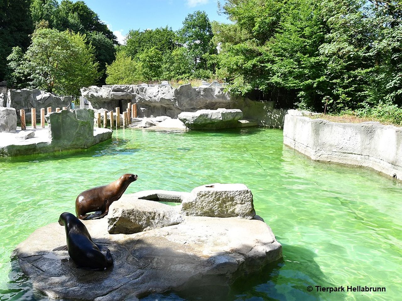 Tierpark Hellabrunn - 2 Tage Weltstadt München