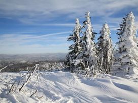 Kurzurlaub in Niederbayern - 5 Tage in Spiegelau