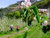 3 Tage Familienglück im Vinschgau