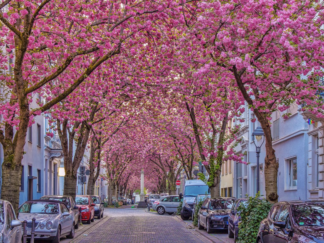 Exklusives Sommer Special in Bonn am Rhein - 3 Tage