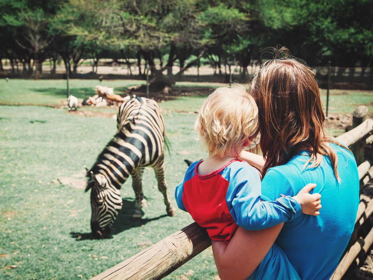 Opelzoo und Übernachtung im Taunus (2)