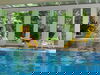 Urlaubszeit am Plauer See - 3 Tage inkl. Abendessen