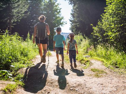 Sommerliches Bergerlebnis im Zillertal - 7 Tage