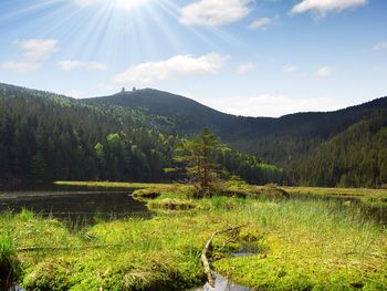 Bayerischer Wald: Achtsamkeitswoche in der Natur