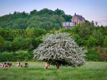 Historisches Weihnachten im Burghotel