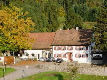 Zweisamkeit im Südschwarzwald