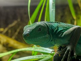 3 Tage Auszeit mit Zoo und Wellness im Saarland