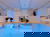 3 tierische Wintertage in Hannover!