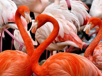 Tierpark Hellabrunn - 4 Tage Weltstadt München