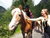 4 Tage Erlebnisurlaub im Kaunertal mit HP