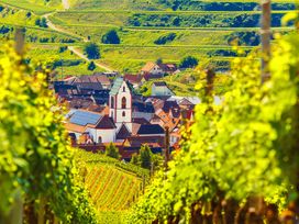 2 Tage Genussreise in die Europastadt Breisach m. HP