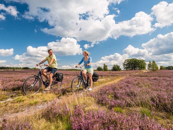 Mit dem Rad durch die Heide in Walsrode Halbpension