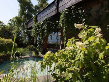 Auszeit in Vorarlberg - 3 Tage
