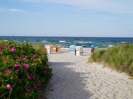 4 Tage Kurzurlaub mit Frühstück an der Ostsee
