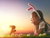 4 Tage Ostern im Spreewald inkl. Halbpension plus