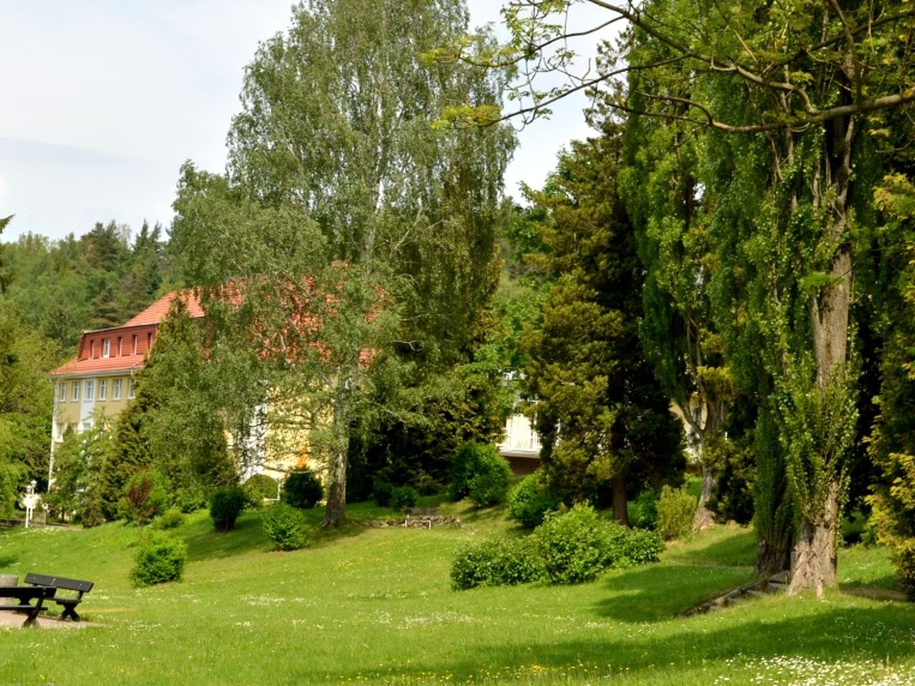 Streicheleinheiten für die Seele