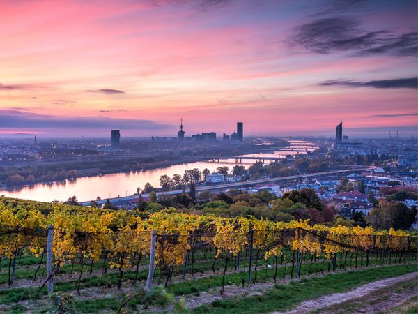 4 Tage Wien entdecken im Bellevue Hotel