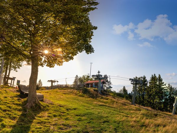 4 Tage Kurzurlaub mit HP im Hotel Herzog Heinrich in Arrach, Bayern inkl. Halbpension