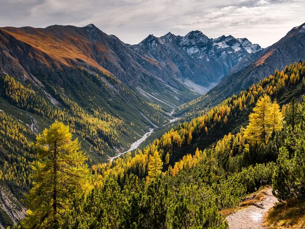 4 Tage Urlaub genießen im Hotel Reitherhof in Reith bei Seefeld, Tirol inkl. Frühstück