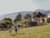 Entschleunigung pur in der Hochsteiermark| 2 Nächte im Chalet