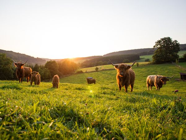 6 Tage Kurzurlaub im Naturparadies Arnsberg, Nordrhein-Westfalen inkl. Halbpension
