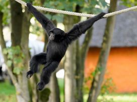 Serengeti Park Hodenhagen mit Hotel