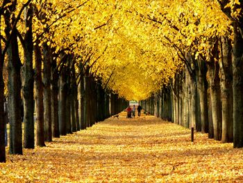 2 Tage im H+ Hotel Hannover mit Frühstück