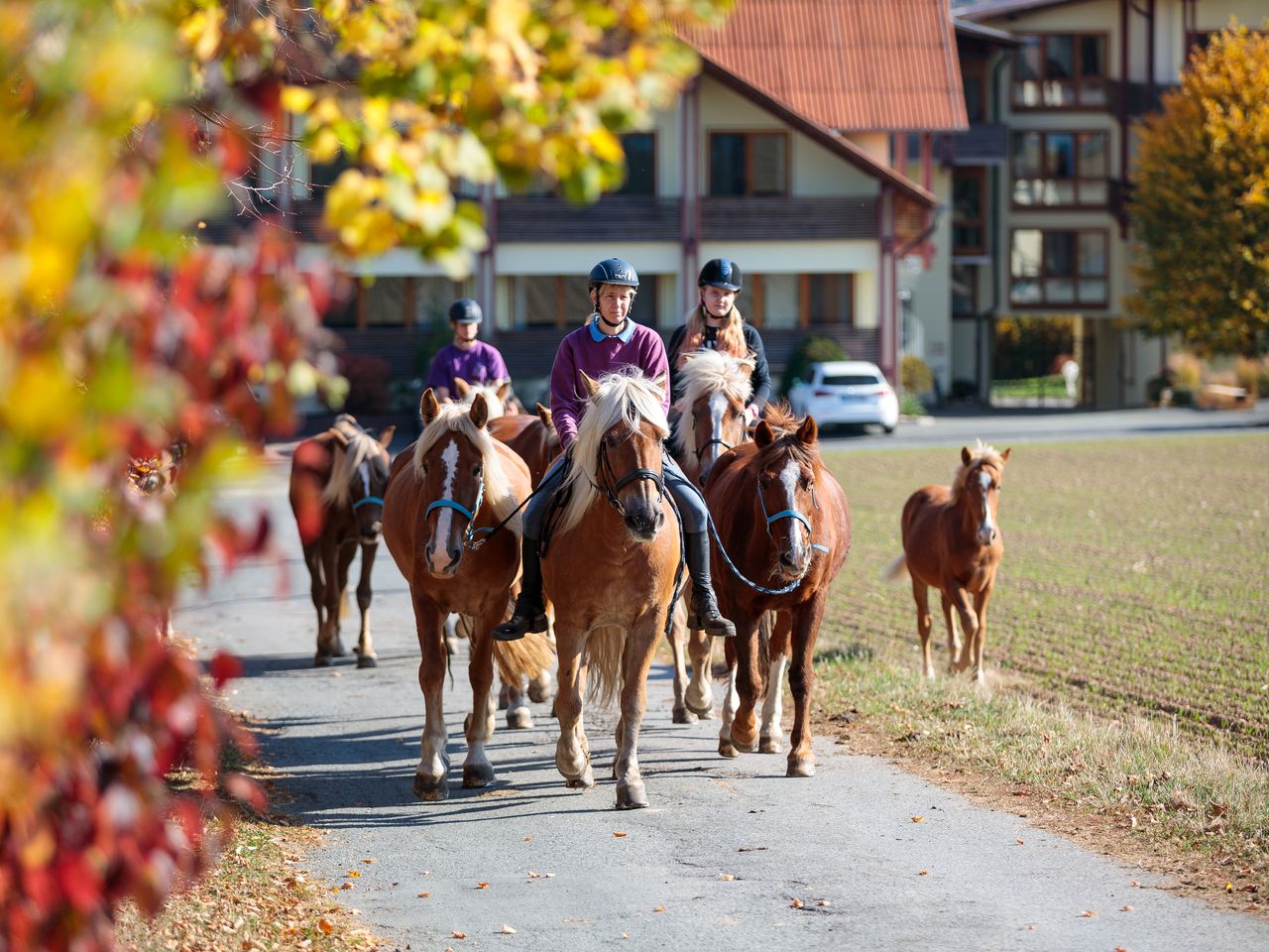 FREUNDs Sommer Deal am Wochenende