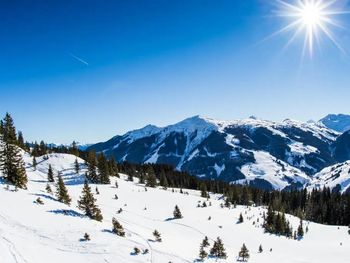 5 Tage Urlaub mit HP im Das Neuhaus