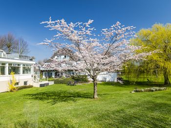 Kulinarische Genießertage in Grömitz an der Ostsee