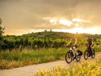 Aktivauszeit: mit dem Rad die Pfalz entdecken /3 Tage