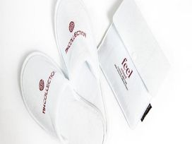 2 Tage die Hafenmetropole Antwerpen erkunden