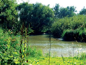 6 Tage im Süden der Niederlande