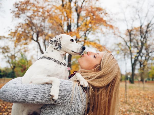 Urlaub mit Hund im Schwarzwald I 4 Tage in Lenzkirch, Baden-Württemberg inkl. Halbpension