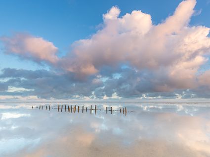 Inselspaß auf Texel - 7 Tage Nordsee mit Frühstück
