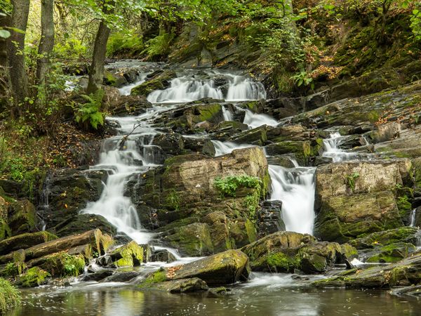 1 Nacht Stopover im Selketal in Meisdorf, Sachsen-Anhalt inkl. Frühstück