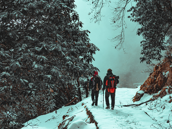 3 Tage Winter und Wellness im Harz