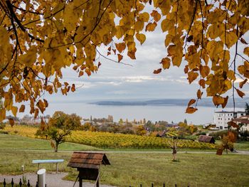 3 Tage Familienabenteuer am Bodensee für Groß & Klein